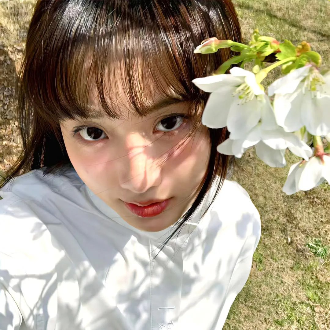 赘婿动画版